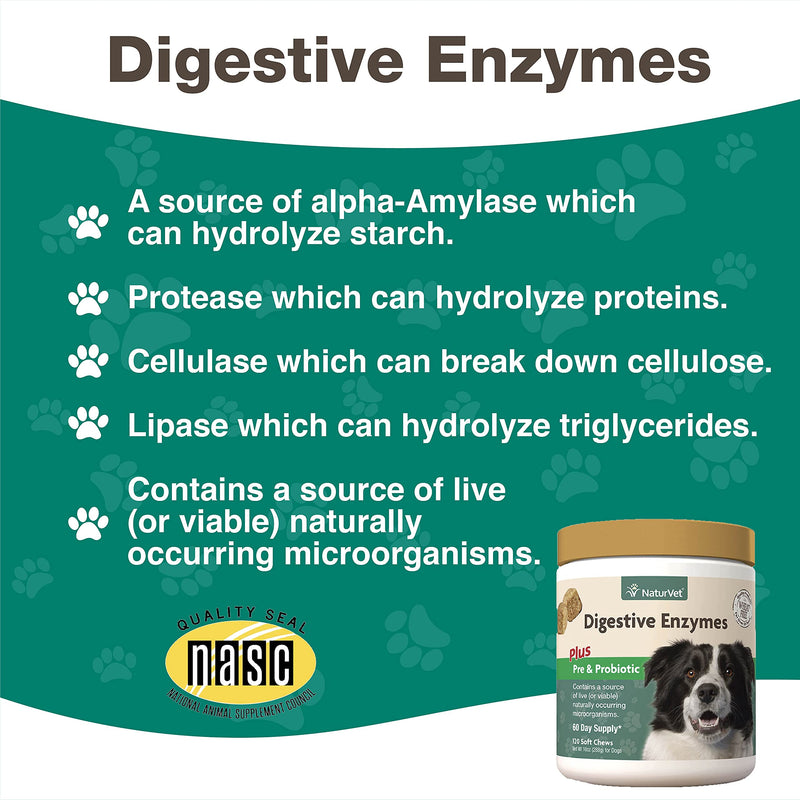 NaturVet – Digestive Enzymes for Dogs - Plus Prebiotics & Probiotics | Helps Support Diet Change & A Healthy Digestive Tract | for Dogs & Cats 120 Soft Chews - BeesActive Australia
