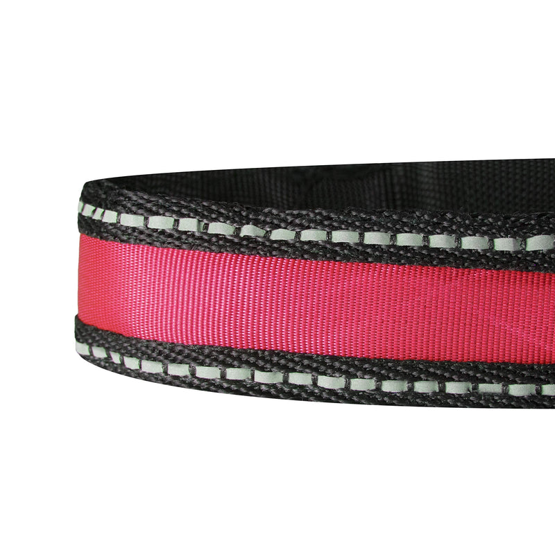 PoundWishes PW750-RD LED Dog Leash Red - BeesActive Australia