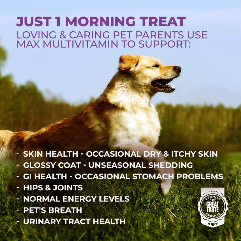 Mighty Petz MAX Dog Multivitamin + Probiotics + Glucosamine Chondroitin + Fish Oil + 15 More! Adult & Senior Dog Supplement Vitamins Chews to Support Hip & Joint, Skin + Coat, Digestion & Immunity - BeesActive Australia