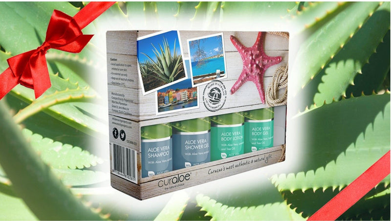 Aloe Vera Gift Set by Curaloe| Organic Body Gel, Bath/Shower Gel, Hair Shampoo, Body Lotion Samples| Great Value for Women and Men| Pure - The Plant in a Bottle | TSA Approved Travel Size 4 Pack - BeesActive Australia
