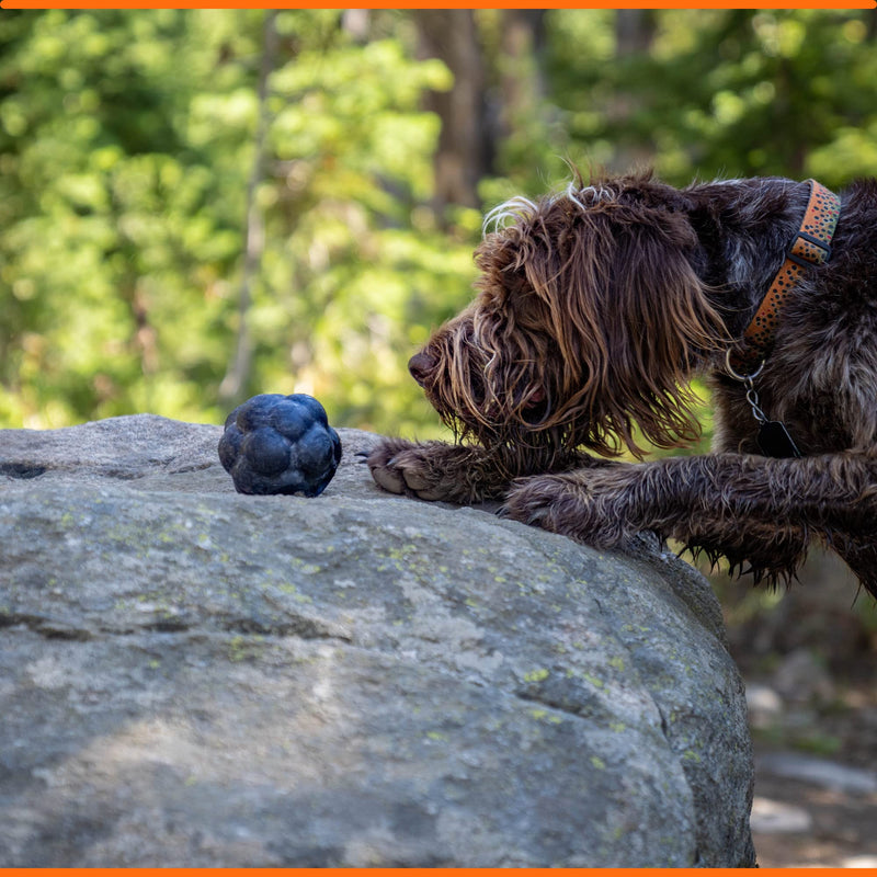 Ultra Durable Tumbler Treat Ball - Lifetime Replacement Guarantee - Aggressive Chewer Approved - Made in USA - Medium/Large Dogs - Safe & Non-Toxic Natural Rubber - Monster K9 Dog Toys - BeesActive Australia