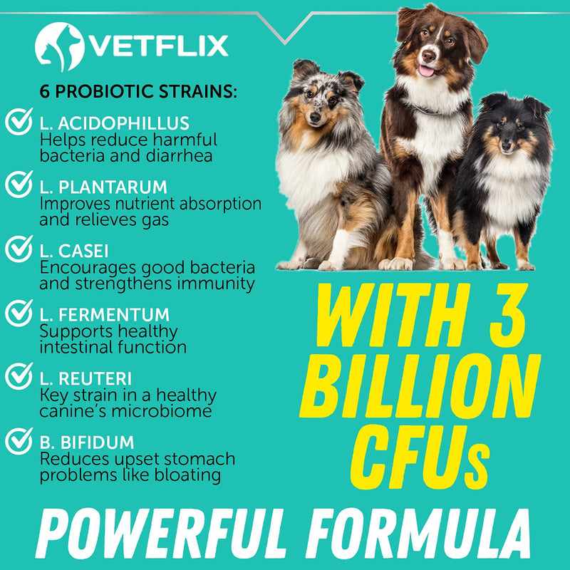 Premium Probiotics for Dogs & Cats - Digestive Enzymes & Prebiotics Supplement - Helps to Relieve Diarrhea, Vomiting, Upset Stomach, Gas, Constipation & Bad Breath - Supports Healthy Digestive System - BeesActive Australia