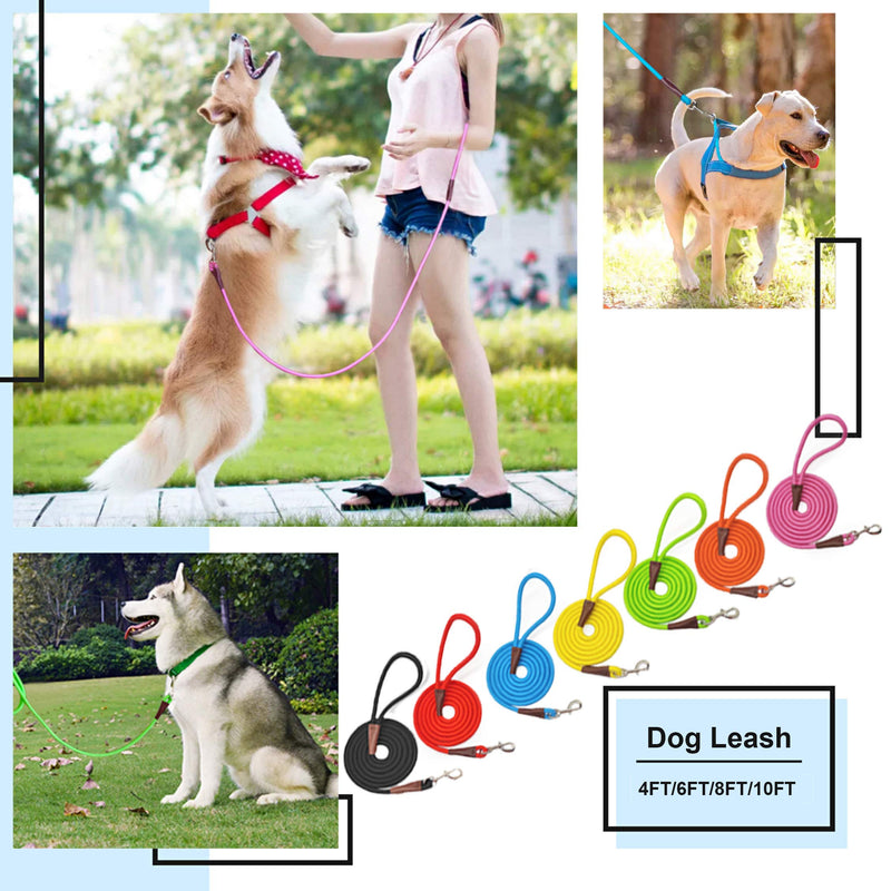 MayPaw 4FT Rope Dog Leash and Slip Collar Combain for Dog Training/Walking - BeesActive Australia
