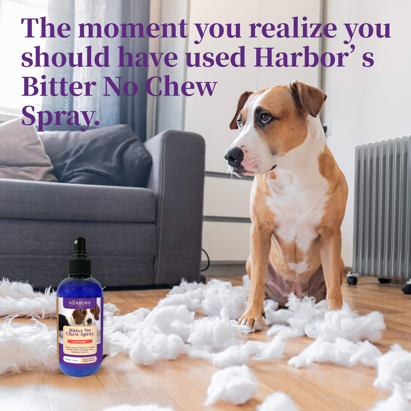 Harbor's Bitter No Chew Spray | 3 X Strength Chewing Deterrent Spray | Anti Chew Behavior Training Aid | Stops Destructive Chewing and Licking of Shoes, Bandages, Paws, Fur & Furniture | Made in USA - BeesActive Australia
