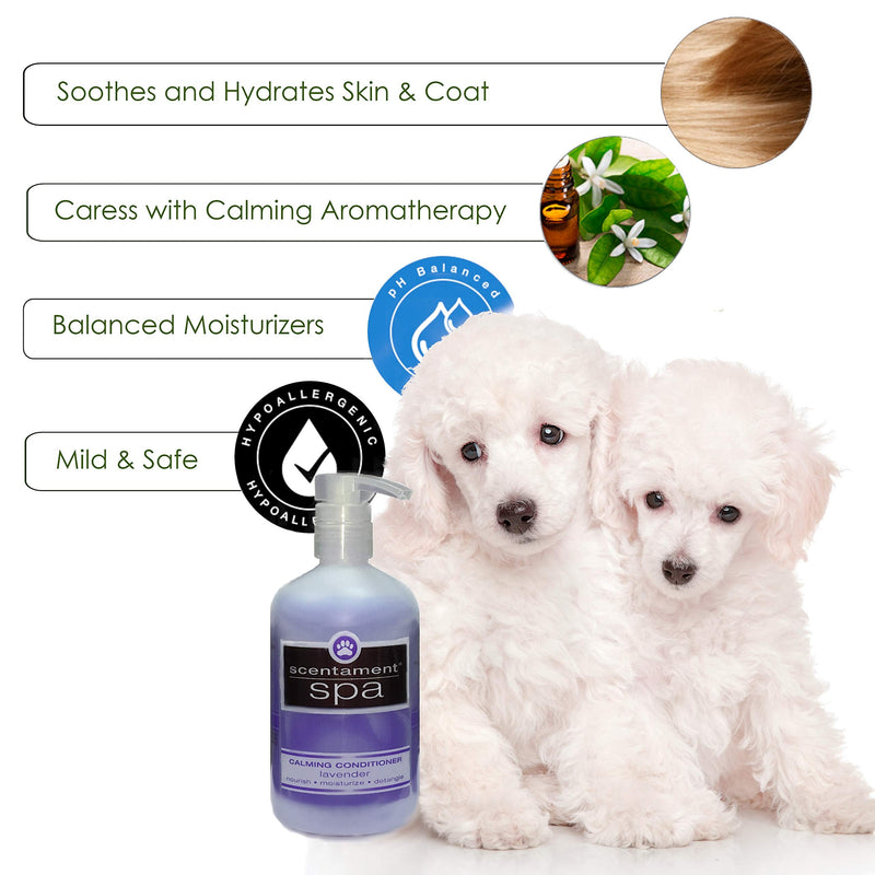 Best Shot Pet Scentament Lavender Aloe Calming Conditioner 16 oz - BeesActive Australia