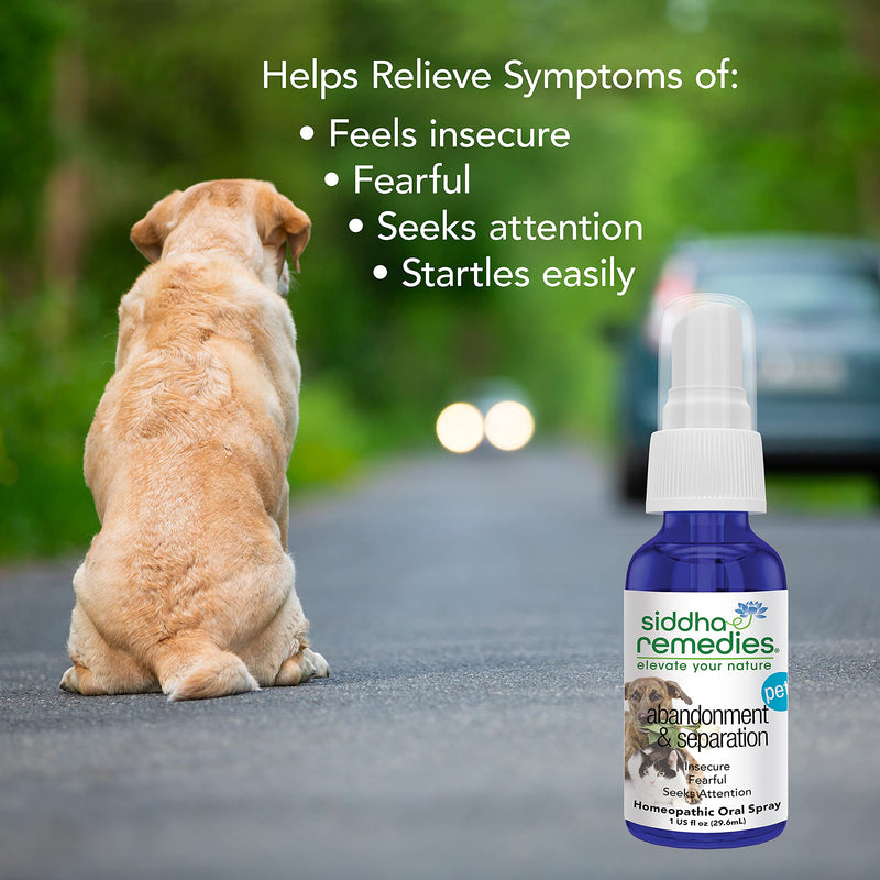 Siddha Remedies Abandonment & Separation for Pets | Natural Homeopathic Remedy for Dogs, Cats, and Animals | Naturally Helps Animals with Fears and Obsessive Behaviors | Supports Healthy Independence - BeesActive Australia