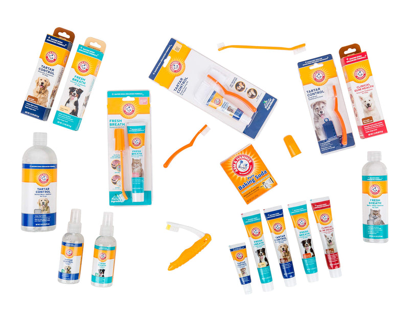 Arm and Hammer Fresh Breath Dental Kit for Pets - Pet Toothbrush and Pet Toothpaste with Baking Soda - Oral Care Dental Kit for Cat and Dog Teeth Cleaning - Toothbrushing Kit for Pets Dogs - Chicken Flavor 1 Pack - BeesActive Australia