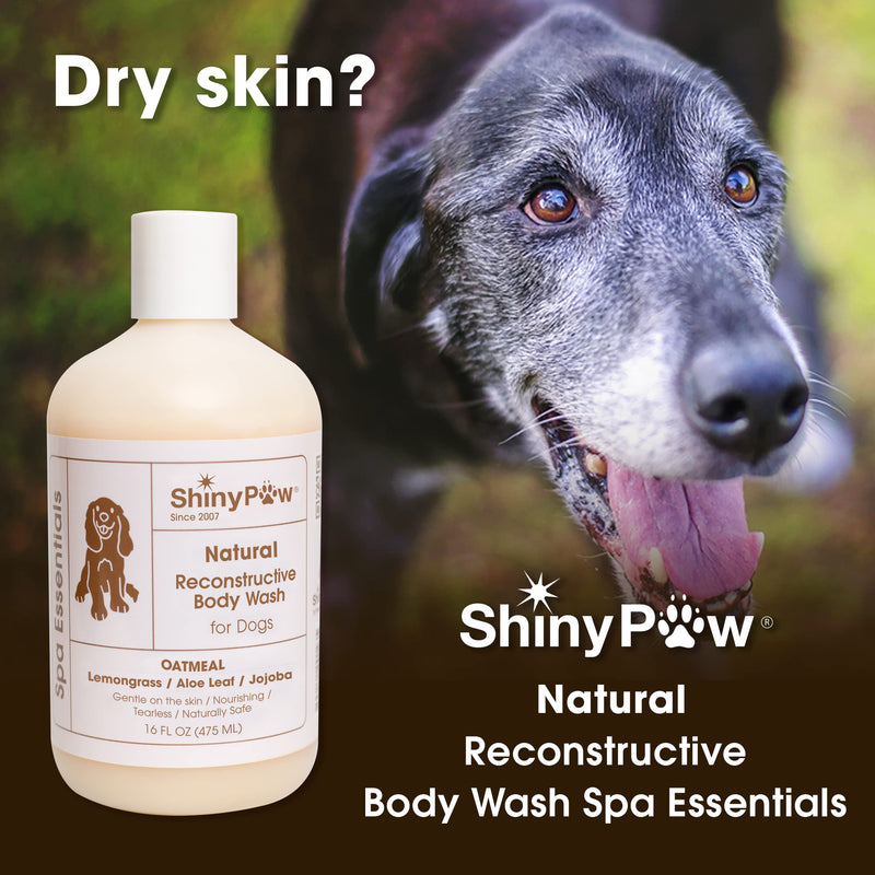 Oatmeal Shampoo for Dogs - Lemongrass Spa Essentials Body Wash - Tearless Dog Shampoo for Itchy Skin - Natural Dog Conditioner Ingredients Made in The USA by ShinyPaw - BeesActive Australia
