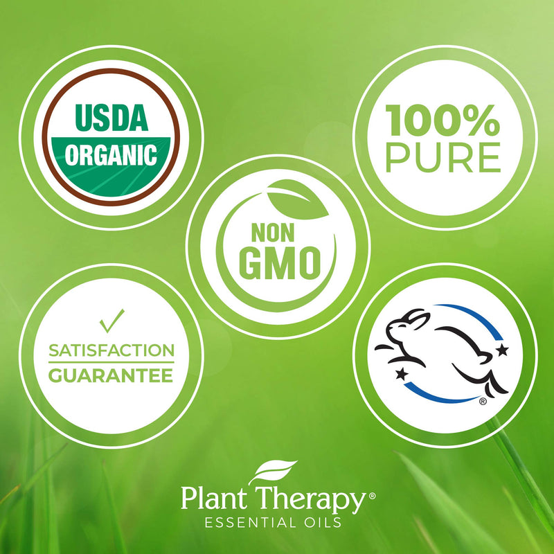 Plant Therapy Ylang Ylang Complete Organic Essential Oil 100% Pure, USDA Certified Organic, Undiluted, Natural Aromatherapy, Therapeutic Grade 30 mL (1 oz) 1 Fl Oz (Pack of 1) - BeesActive Australia