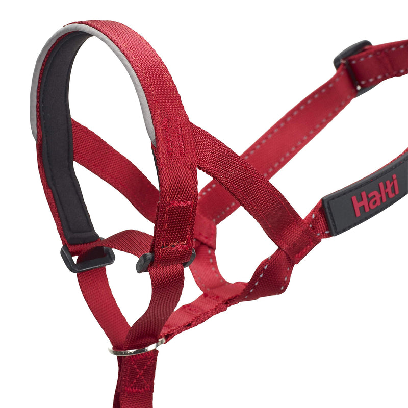 The Company of Animals Halti Head Colla Red 4 - BeesActive Australia