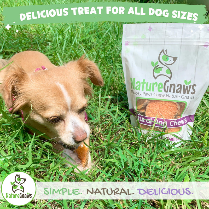 Nature Gnaws Sweet Potato Chips for Dogs - Single Ingredient Natural Dog Chew Treats - 12 oz - BeesActive Australia
