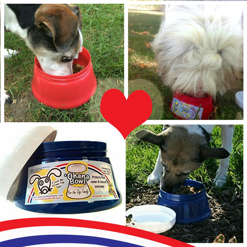 Travel Dog Bowl with a Screw Top Lid - 'Ohana Bowl - Holds 2 Cups of Food Red - BeesActive Australia