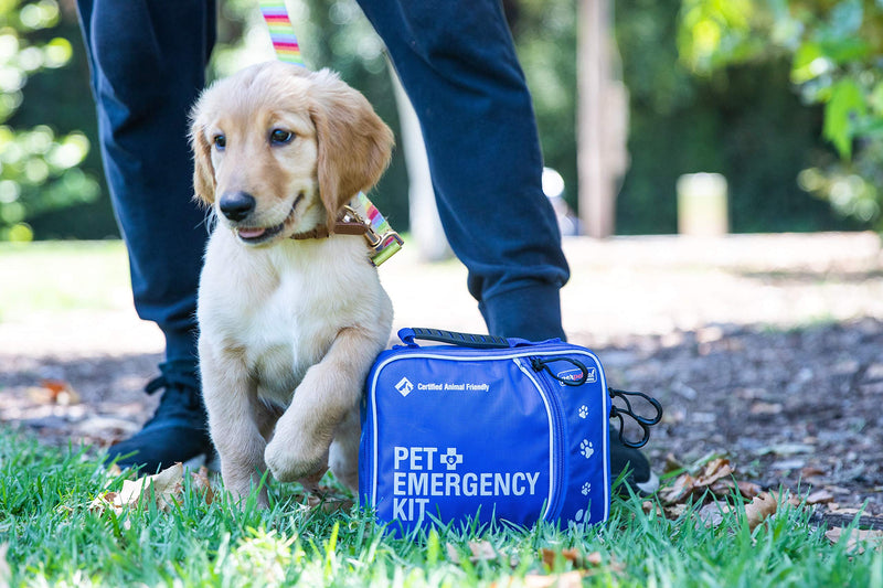 Perpetual Pet First Aid Kit with Vet Wrap, Styptic Powder, Bitter Spray & Veterinary Splint. Ideal for Hiking, Travelling, Camping, Outdoor & Indoor Activities - BeesActive Australia