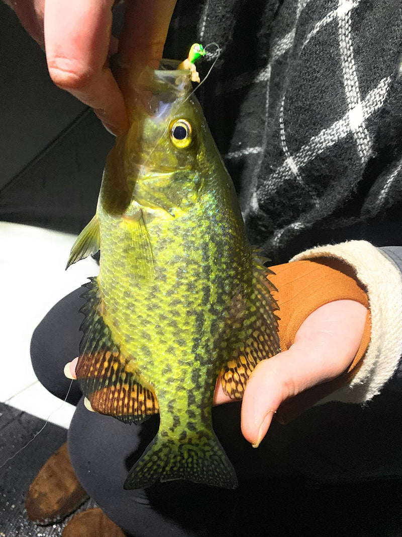 Rick's Jigs Tungsten Teardrop Glow Jig Set of 10 (3mm) - BeesActive Australia