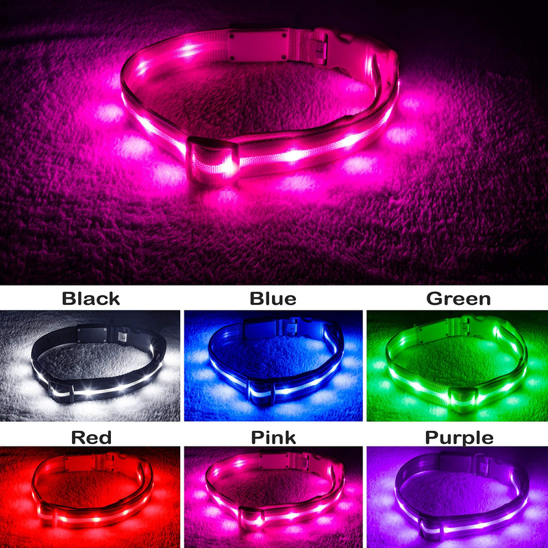 Blazin LED Light Up Dog Collar - 1,000 Feet of Visibility - Brightest for Night Safety - USB Rechargeable with Water Resistant Glowing Dog Collar Light Medium (Pack of 1) Pink - BeesActive Australia