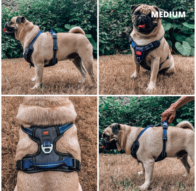 Tuff Pupper No Pull Dog Harness | Front/Back Leash Clips | Safety Handle | Reflective Dog Harness | Waterproof Shell | Padded Training Dog Harness for Comfort | Adjustable Small Medium Extra Large Dog Medium (Neck: 15-24" , Chest: 19-26") Midnight Blue - BeesActive Australia