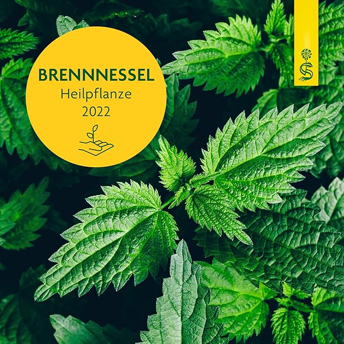 Nettle concentrated extract - BeesActive Australia