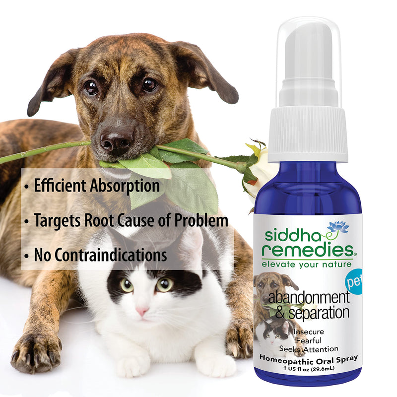 Siddha Remedies Abandonment & Separation for Pets | Natural Homeopathic Remedy for Dogs, Cats, and Animals | Naturally Helps Animals with Fears and Obsessive Behaviors | Supports Healthy Independence - BeesActive Australia