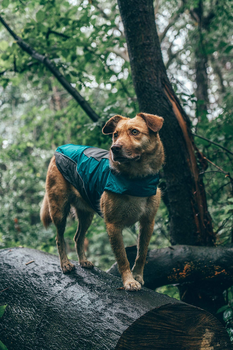 Embark Pets Rain Jacket for Dogs Medium - BeesActive Australia
