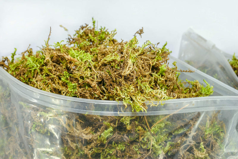 My Happy Snails Reptile Moss - Organic Green Spagnum Moss - Dried Substrate for Terrarium Vivarium Medium Pack - 5 litres / 250 gr / 18 oz - BeesActive Australia