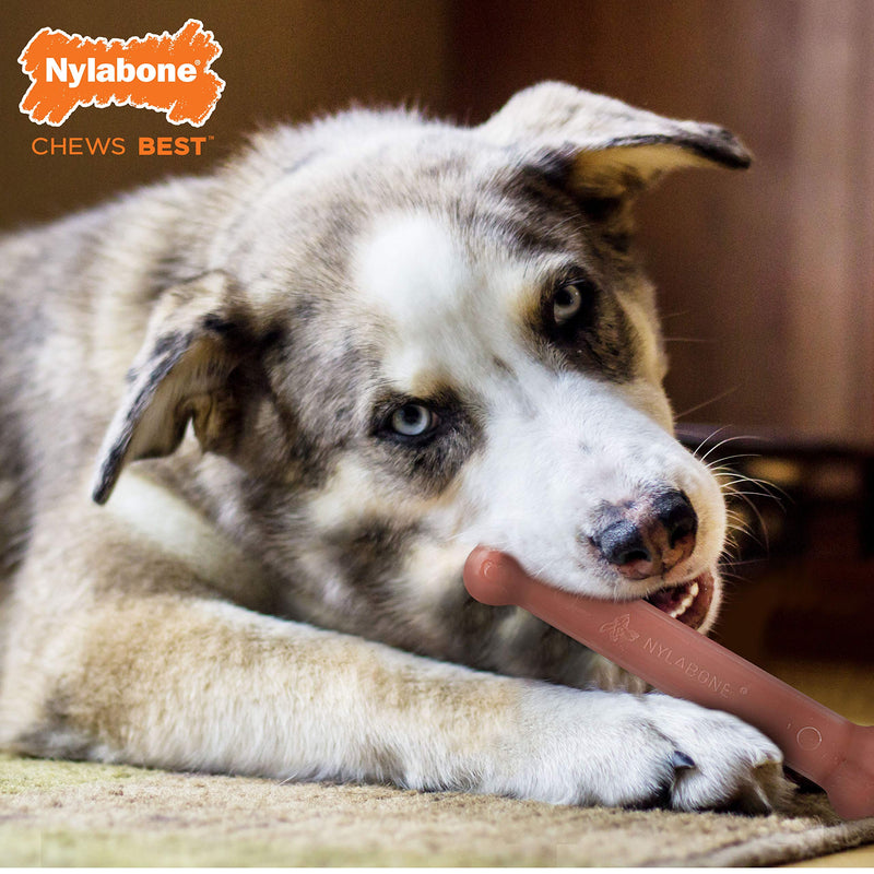 Nylabone Classic Twin Pack Power Chew Toy for Dogs l Durable Dog Chew Toy for Aggressive Chewers Made with Bold Flavor Bacon & Chicken Large/Giant (2 Count) - BeesActive Australia