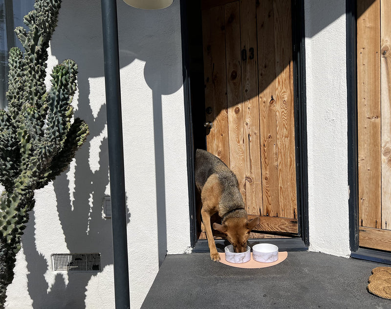 Silicone Pet Food Mat: Waterproof, Non-Slip, Raised Edges to Prevent Spills, Easy-to-Clean Flexible Tray for Dog Feeding and Water Bowls. Large, Cute, Modern Design. Blush - BeesActive Australia
