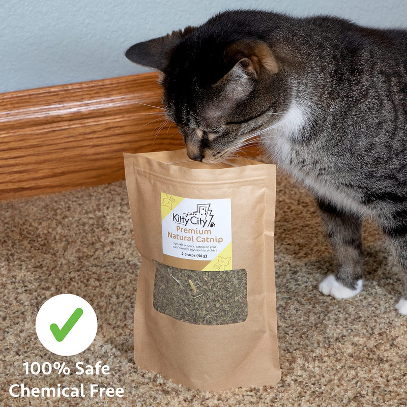 Kitty City Premium Natural Catnip Catnip Bag - BeesActive Australia
