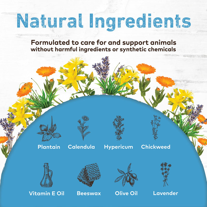Earth Animal Herbal Balm, Skin and Paw Soother for Dogs and Cats, 2 Ounce - Cat & Dog Itch Relief - BeesActive Australia