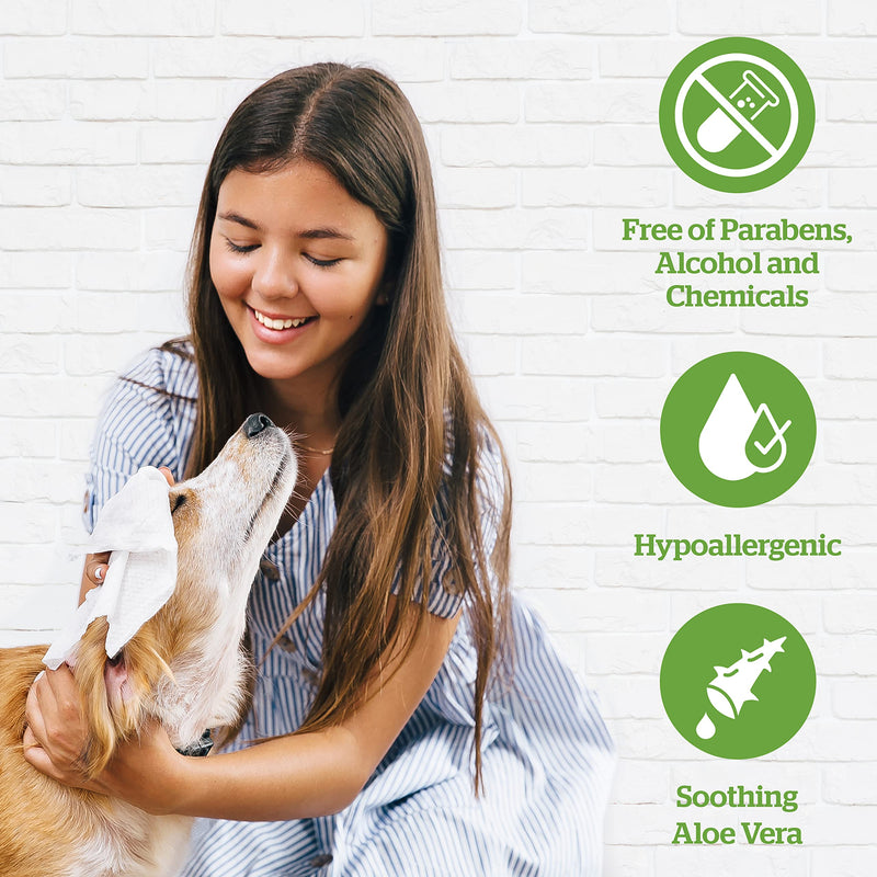 Pogi's Grooming Wipes Home & Travel Bundle - 100-Count Grooming Wipes for Home and 240-Count Packs for Travel - BeesActive Australia