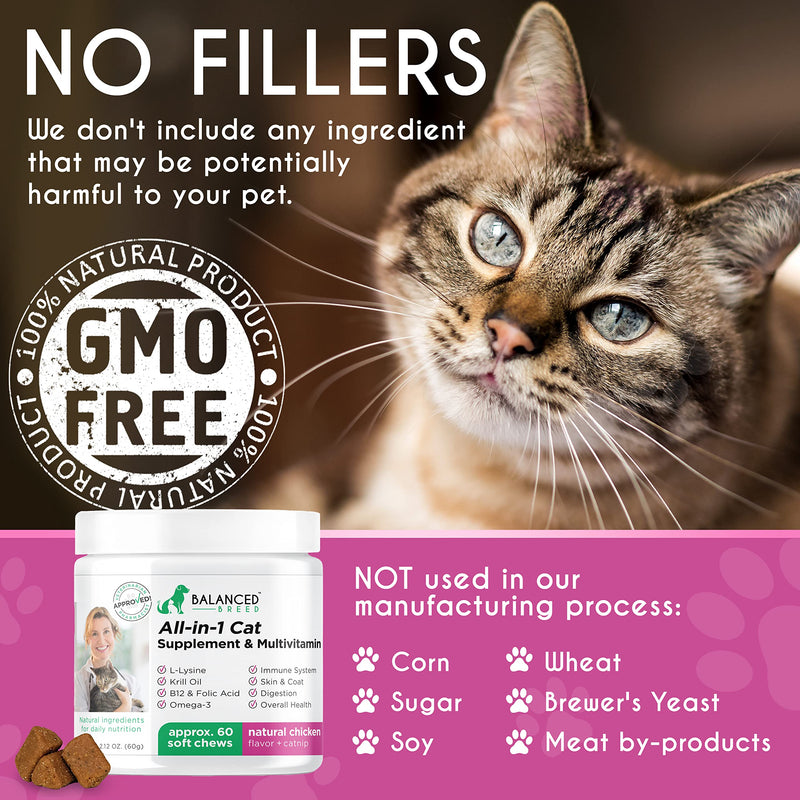 Balanced Breed L-Lysine for Cats Immune Support Skin Coat Sneezing Runny Nose Watery Eyes Cat Multivitamin Omega 3 Cat Vitamins B12 & Folic Acid Natural Booster Supplements Chicken Flavor Catnip Treat - BeesActive Australia