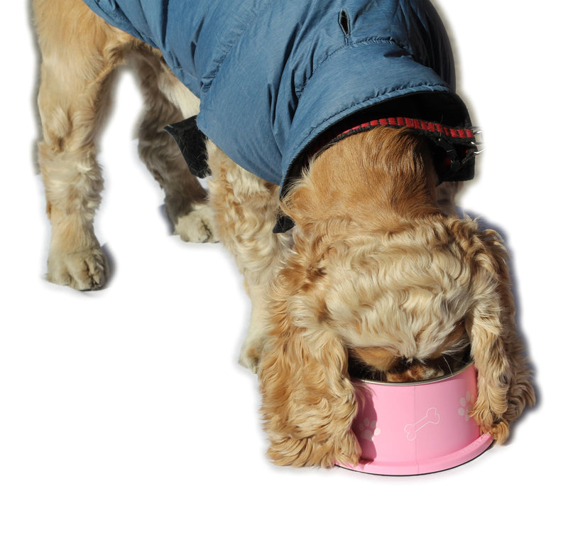 PETish Spaniel Bowl for Long Ear Dog - Ergonomic Personalized Custom Design Bowls, NO Tip Stainless Dish Medium ( 17oz - 6.3 x 5.3 x 3.0inch ) Candy Pink - BeesActive Australia