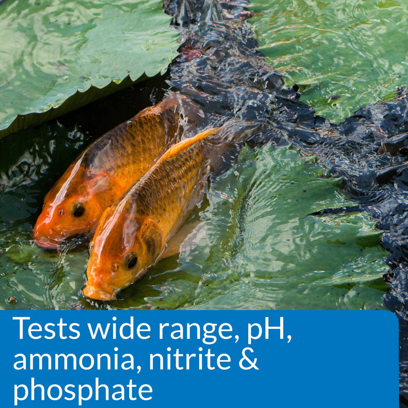 API POND MASTER TEST KIT Pond Water Test Kit 500-Test - BeesActive Australia