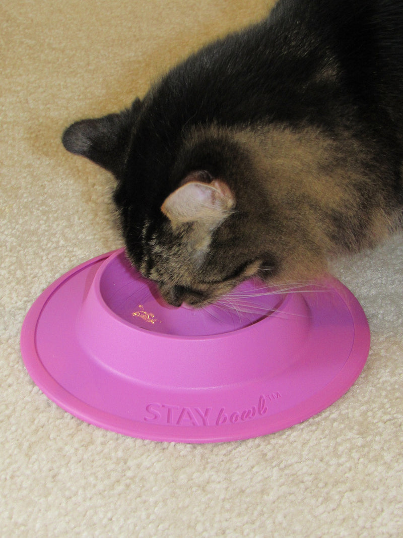 STAYbowl NO-Slip/NO-TIP Pet Food and Water Bowl for Cats (3/4 Cup in Four Colors Sky Blue - BeesActive Australia
