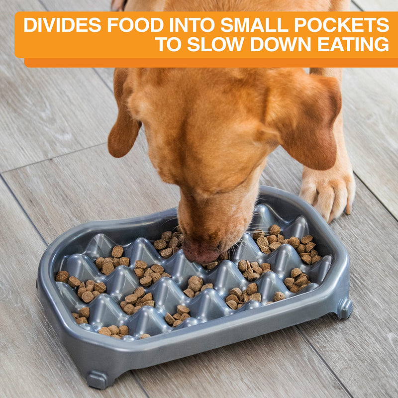 Neater Pet Brands - Neater Slow Feeder - Fun, Healthy, Stress Free Dog Bowl Helps Stop Bloat Prevents Obesity Improves Digestion (2.5 Cup, 6 Cup, Double Diner/w Water Bowl) Gunmetal 2.5 Cup Food - BeesActive Australia