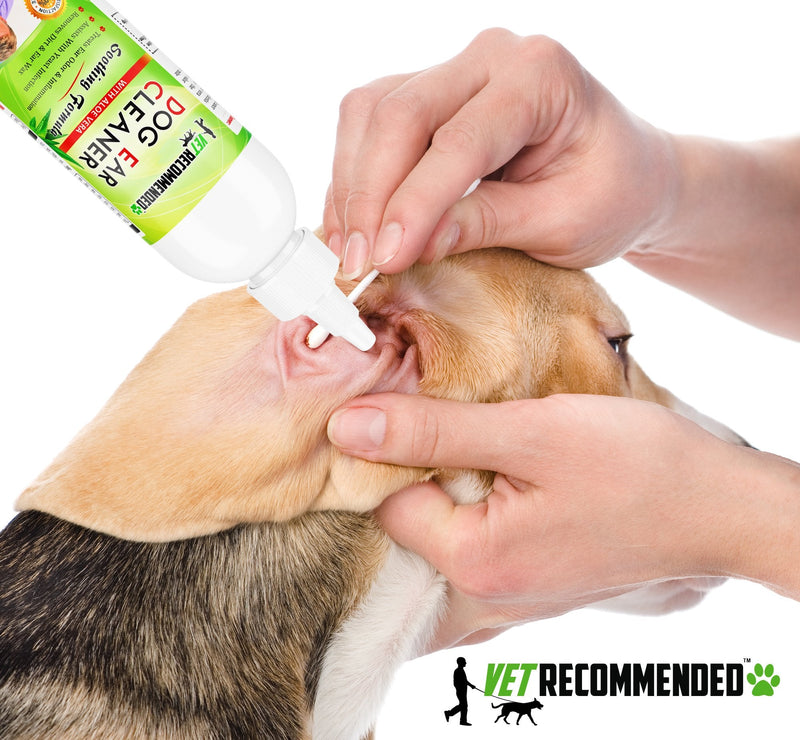 Vet Recommended Dog Ear Cleanser with Natural Aloe Vera for Dog Ear Infection (8oz/240ml). Perfect Dog Ear Cleaner for Yeast Infection - Made in USA - BeesActive Australia