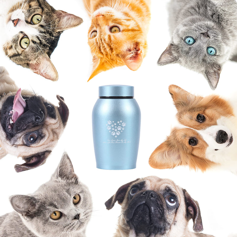 Youdear Memorials Stainless Steel Pet Urns,Premium Urns for Dog and Cat Ashes,Suitable Size Urns for Pet Ashes Medium Blue - BeesActive Australia