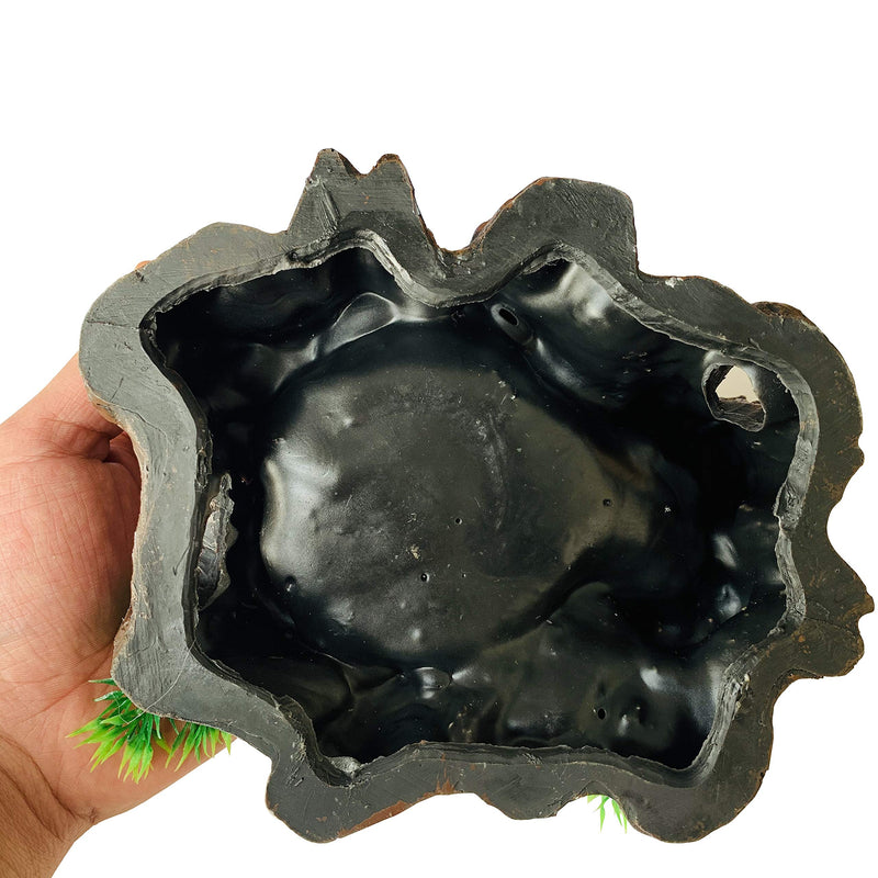 PINVNBY Resin Reptile Platform Artificial Tree Trunk Reptile Tank Decor Food Water Dish Bowl for Bearded Dragon,Lizard, Gecko, Water Frog,Snake - BeesActive Australia