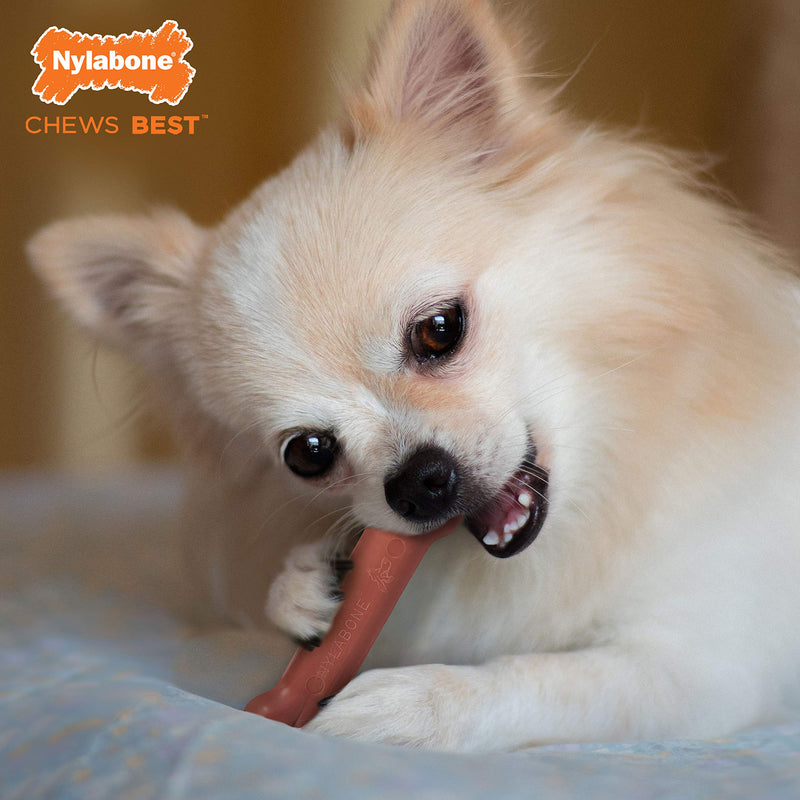 Nylabone Power Chew Dog Bones for Aggressive Chewers Tough Chew Toys for Dogs Bacon X-Small/Petite (1 Count) - BeesActive Australia