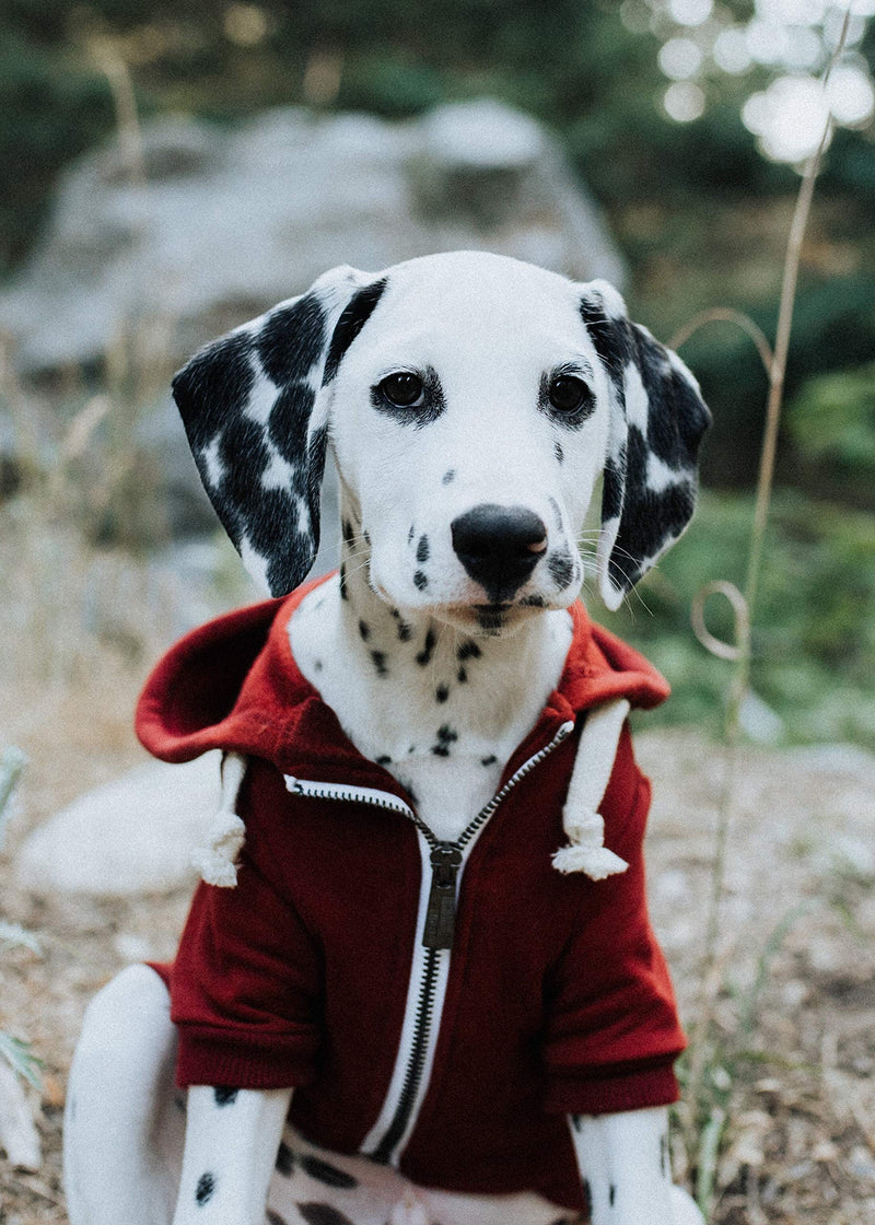 Adventure Zip Up Maroon Red Dog Hoodie with Hook & Loop Pockets and Adjustable Drawstring Hood - Available in Extra Small to Extra Large. Comfortable & Versatile Dog Hoodies by Ellie XXL - BeesActive Australia