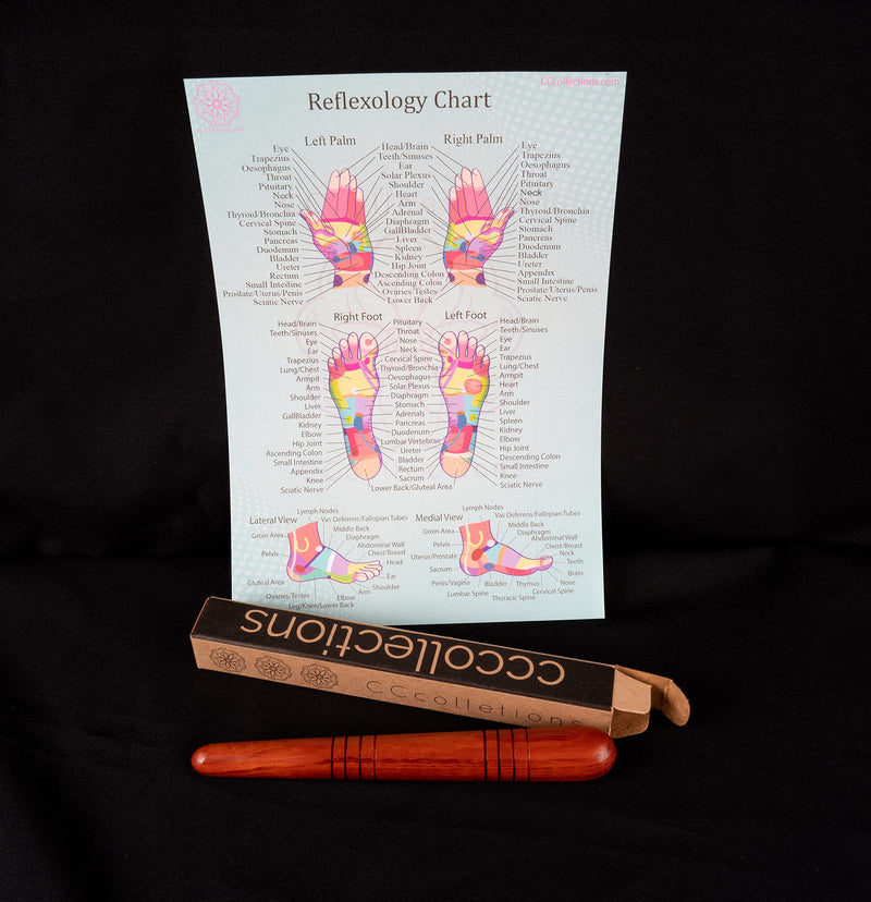Massage toolsets with Chart for Professionals Foot Hand Massage Wooden Stick Reflexology (Single Stick + Chart) Set a - BeesActive Australia