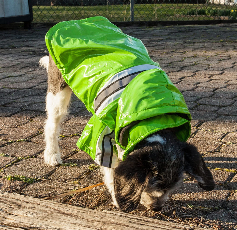 Pet Life ® Reflecta-Glow Reflective Waterproof Adjustable PVC Pet Raincoat Green Medium - BeesActive Australia