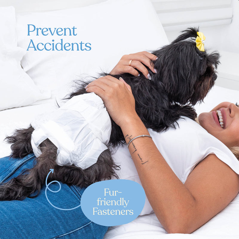 Comfortable Female Dog Diapers - Super Absorbent Disposable Doggie Diapers - FlashDry Gel Technology & Wetness Indicator - Leakproof Diapers for Dogs in Heat, Excitable Urination, Incontinence Small 24.0 - BeesActive Australia