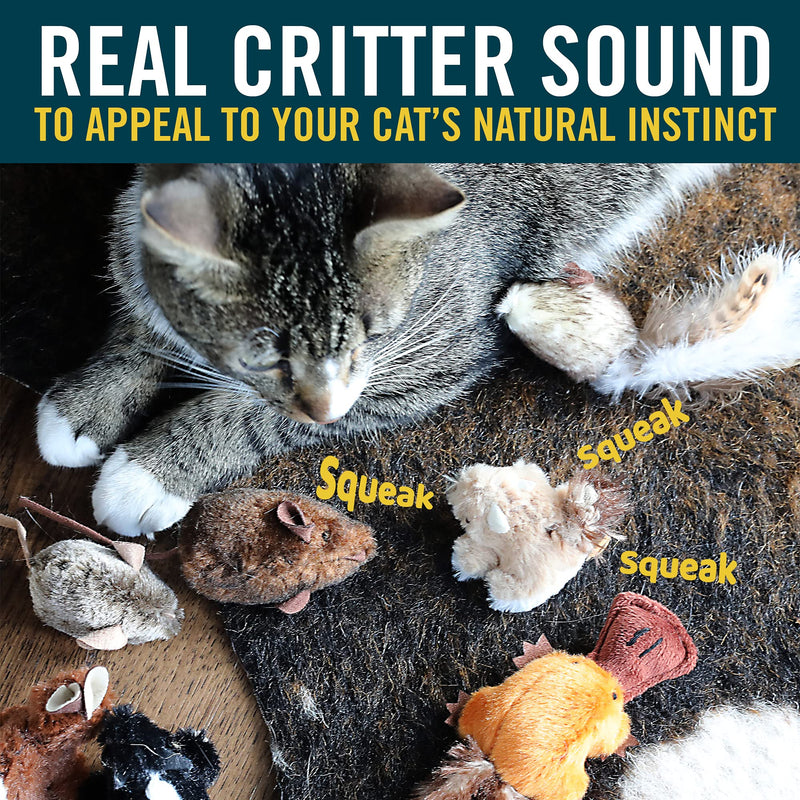 Our Pets Cat Toys for Indoor Cats Play-N-Squeak Barnyard Kitten Toys (Cat Toys for Indoor Cats with Catnip & Real Sound) Interactive Cat Toy, Cat Nip Toys for Cats, Cat Stocking Christmas Play-N-Squeak Squirrel - BeesActive Australia