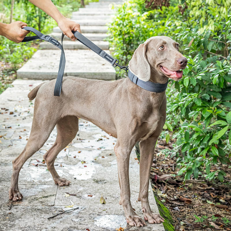 OneTigris Handled No-Pull Dog Walking Leash Long Traffic Leads for Medium to Large Dogs Grey 6FT - BeesActive Australia