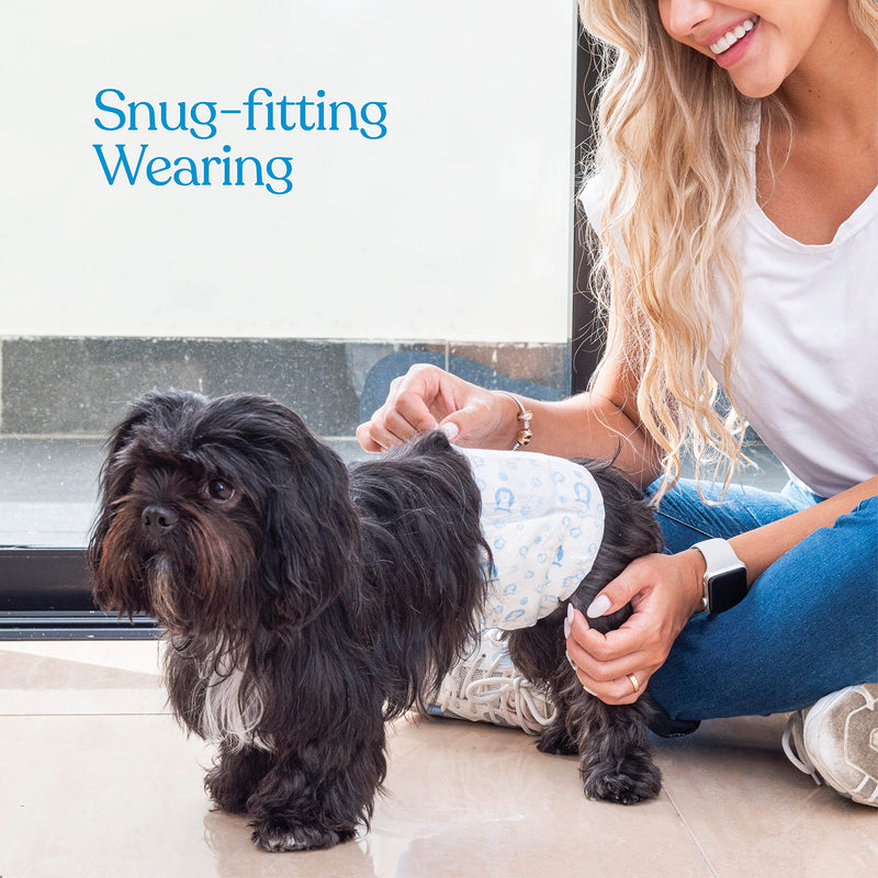 Comfortable Male Dog Diapers - Super Absorbent Disposable Male Dog Wraps- FlashDry Gel Technology, Wetness Indicator Doggie Diapers- Leakproof Belly Wraps for Incontinence, Excitable Urination Small 24.0 - BeesActive Australia