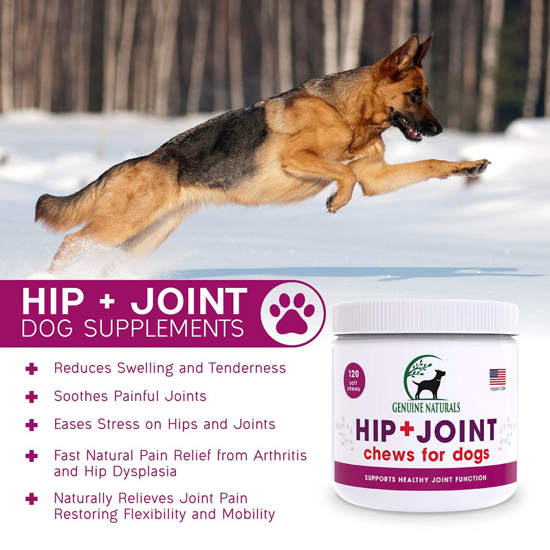 Genuine Naturals™ Glucosamine Chondroitin, MSM, Organic Turmeric Soft Chews, Hip and Joint Supplement for Dogs, Supports Healthy Joint Function and Helps with Pain Relief, 120-Count - BeesActive Australia