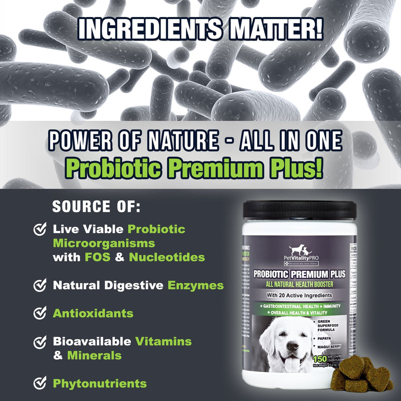 PetVitalityPRO Probiotics for Dogs with Natural Digestive Enzymes ● 4 Bill CFUs/2 Soft Chews ● Dog Diarrhea Upset Stomach Yeast Gas Bad Breath Immunity Allergies Skin Itching Hot Spots 150 - BeesActive Australia