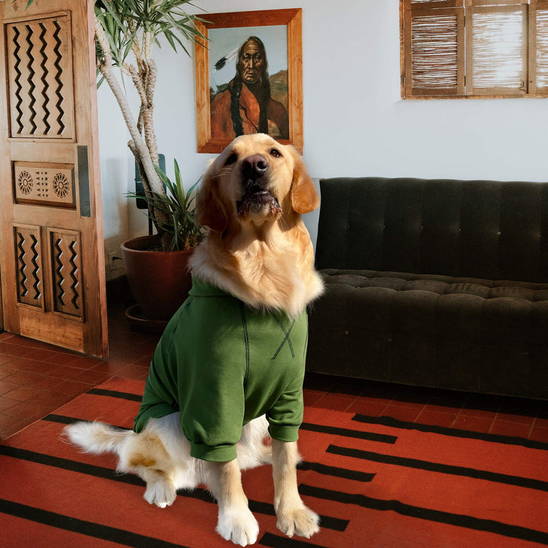 Kickred Basic Dog Hoodie Sweatshirts, Pet Clothes Hoodies Sweater with Hat and Leash Hole, Soft Cotton Outfit Coat for Small Medium Large Dogs XL Army Green - BeesActive Australia