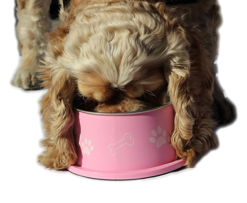PETish Spaniel Bowl for Long Ear Dog - Ergonomic Personalized Custom Design Bowls, NO Tip Stainless Dish Medium ( 17oz - 6.3 x 5.3 x 3.0inch ) Candy Pink - BeesActive Australia