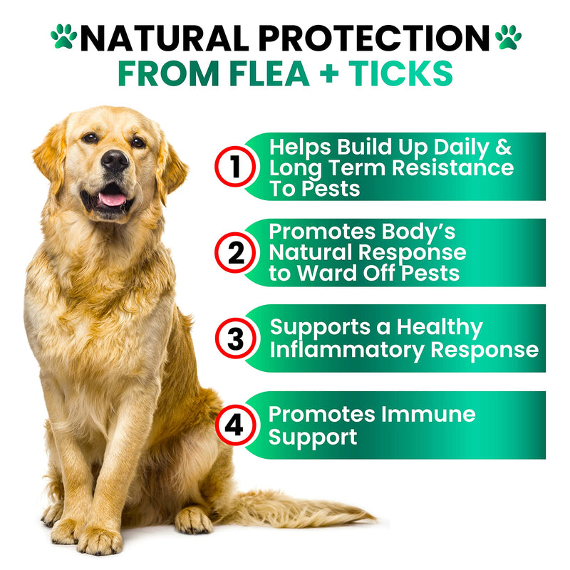Flea and Tick Prevention for Dogs Chewables - Natural Dog Flea & Tick Control Supplement - Flea and Tick Chews for Dogs - Oral Flea Pills for Dogs - All Breeds and Ages - Soft Tablets - Made in USA - BeesActive Australia